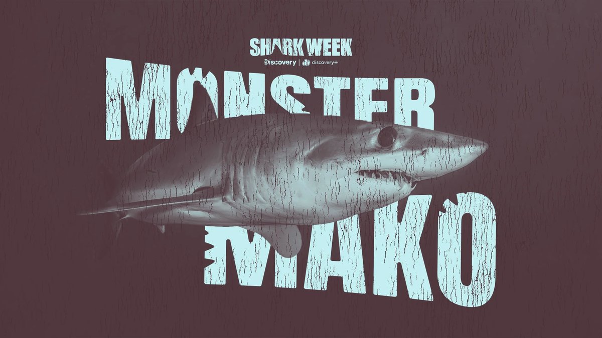 Shark Week: Monster Mako key art